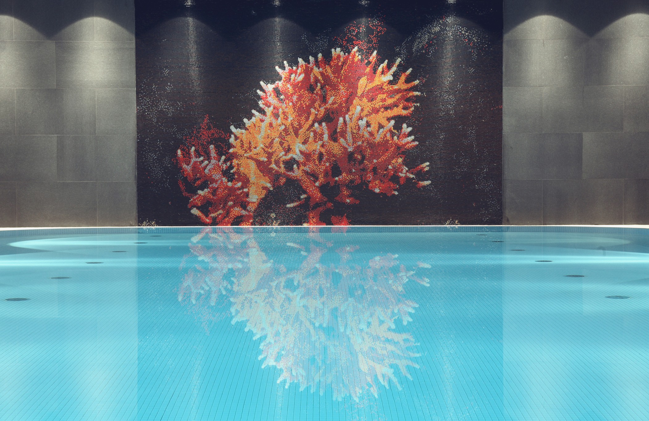 Pool im Charls Hotel mit Korallen Bild in den Lenbach Gärten in München